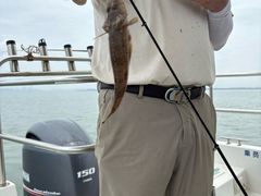 -鑫艋游艇海钓俱乐部