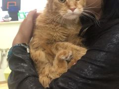 -Pets First伊珊娜洗护·精致美容·家庭式寄养(新会路店)