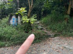 -南山植物园