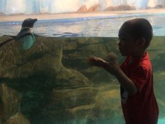 -常州海昌海洋探索馆