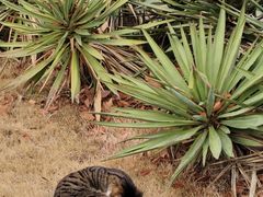 -东华大学(松江校区)