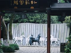 -白马涧龙池景区