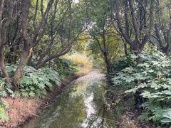 -同里国家湿地公园