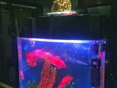 -湖庭壹品鸭王·传统北京烤鸭·别墅私房菜·庭院宵夜(江宁店)