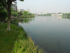 酒店内的湖-杭州世外桃源君澜度假酒店