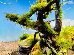 -沈阳海洋探索中心