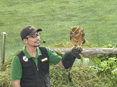 -新加坡飞禽公园