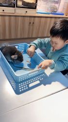 -Moni星球萌宠·小马宝莉·灵蛇·高端高阶全萌宠互动体验俱乐部(红豆国际广场店)