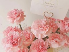 -南堂馆·新川菜(春熙路店)