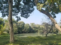 -西溪国家湿地公园