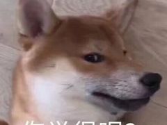 -清真盛志望麻酱酿皮·非遗老字号