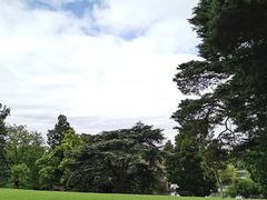 -墨尔本皇家植物园