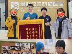 -美联众合爱康动物医院•复杂内科•肿瘤科•牙科•腔镜诊疗中心