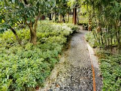 -徐家汇源景区-衡山公园