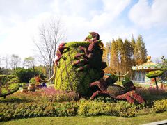 -东平国家森林公园