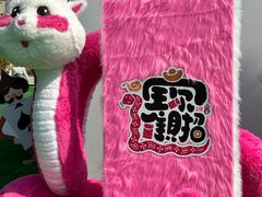 -巨鹏飞梦幻海岸