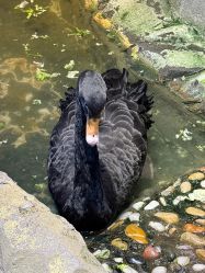 -酷嗒动物文化乐园(cutezoo西溪乐天城店)