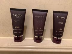 -广州富力丽思卡尔顿酒店