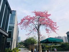 -星巴克(深圳前海企业公馆店)