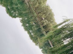 -百脉泉景区