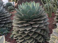 -南通洲际绿博园