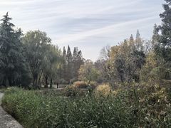 -洛阳市隋唐城遗址植物园
