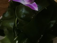 -历蜀记·家宴老火锅(总店)