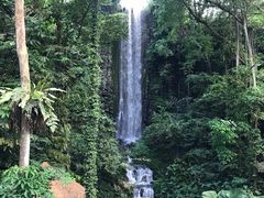 -新加坡飞禽公园