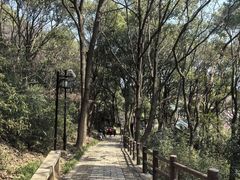 -苏州上方山国家森林公园