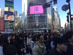 -涩谷区
