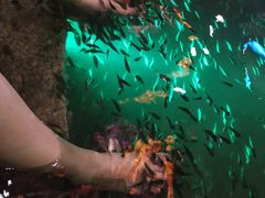 -宝丽金大酒店·洗浴中心