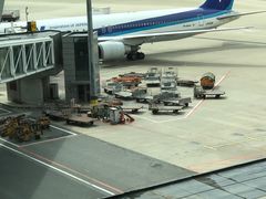 -全日本空输株式会社(上海办事处)