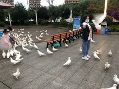 -南昌之星游乐场