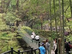 -宁波五龙潭景区