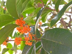 -鸡毛店·川菜(双楠店)