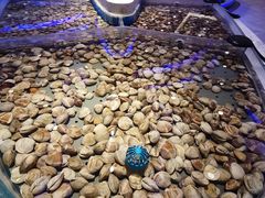 -澜悦港海鲜体验主题餐厅
