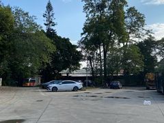 -长洲岛