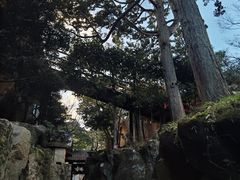 景观位-料亭菊水楼