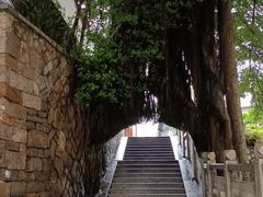 -乌山风景区
