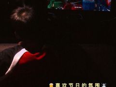 -枫花园汽车电影院(朝阳公园店)