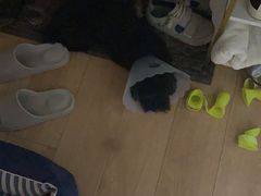 -宠爱国际动物医院· 猫科· 外科·中兽医(长白店)