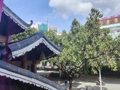 -甘家界牌柠檬鸭(青山店)