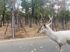 -秦皇岛野生动物园