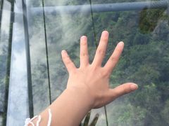 -呀诺达热带雨林
