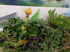 -深圳国际园林花卉博览园