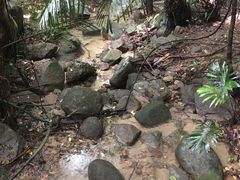 -七仙岭温泉国家森林公园