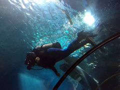 -福州罗源湾海洋世界旅游区