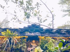 装饰墙-青城甲(青城山店)