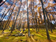 -硗碛藏寨·神木垒景区