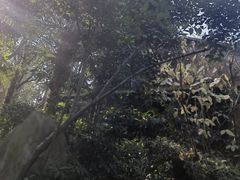 -西安国际创新人才交流中心•药浴温泉